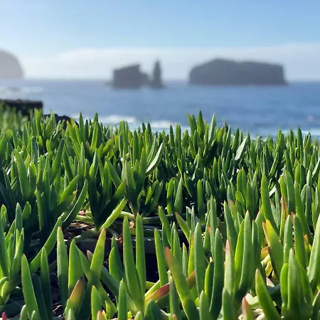 Casa Estrela Do Mar - Azorean Butler מוסטיירוס